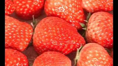 草莓视频国产,本土创新与全球视野的交融  第2张