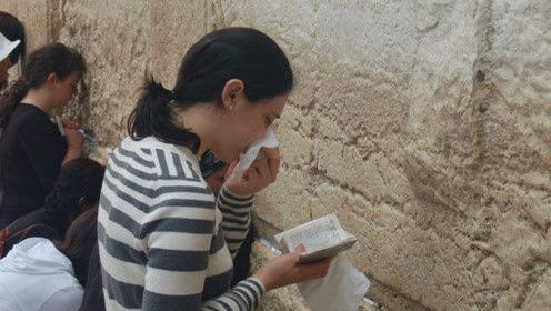 娱乐圈打工人吃瓜